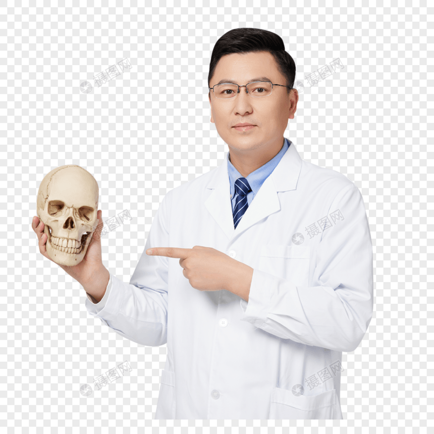男性医生手拿头部骨骼模型图片