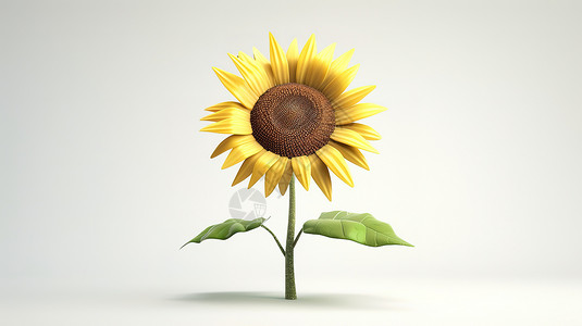 灰白背景的向日葵3D图标背景图片
