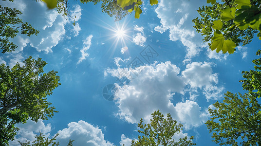 蓝天白云绿树尖仰视视角背景图片