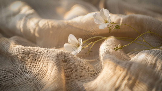 阳光照射有质感的棉麻布上放着一朵小花高清图片