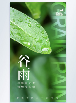 水滴银杏叶绿色清新谷雨节气摄影图海报模板