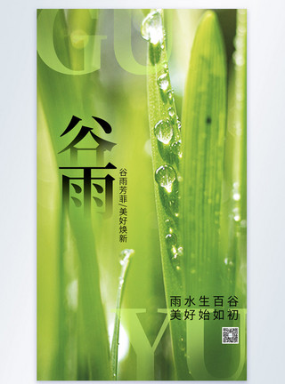绿色水滴对话框谷雨节气摄影图海报模板