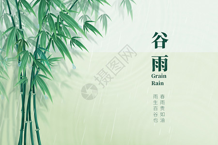 雨水稻田谷雨简洁大气创意竹子设计图片