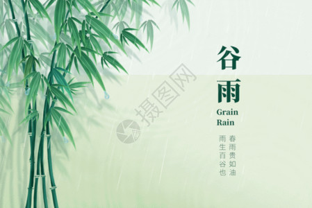 节气之谷雨谷雨简洁大气创意竹子GIF高清图片