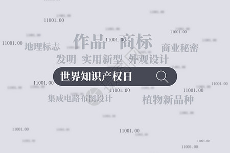中国结框世界知识产权日大气创意搜索框设计图片