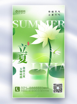 白花蜻蜓绿色弥散风立夏节气全屏海报模板