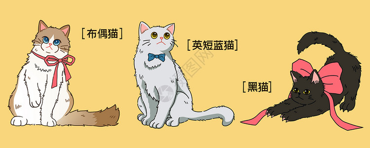 多样品种萌宠可爱猫咪插画插画