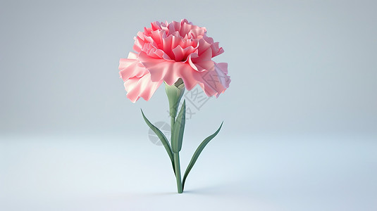 3D花朵康乃馨插画