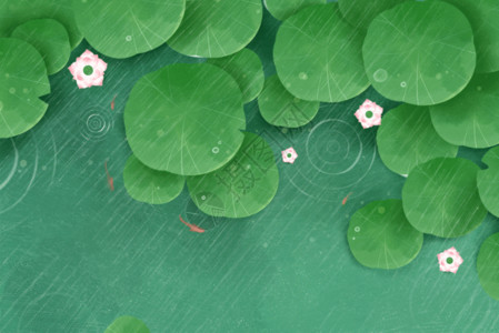 黄瓜水立夏小清新水面上的荷花荷叶GIF高清图片