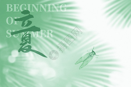 夏季滑板车立夏绿色创意树叶倒影设计图片