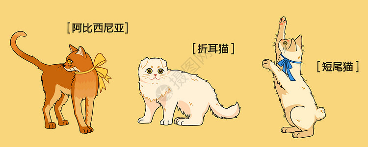 猫咪品种萌宠可爱三只猫咪插画插画
