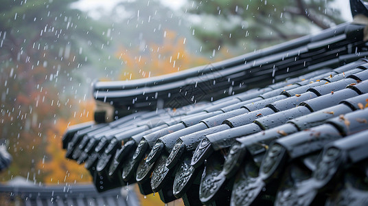 春天的雨雨中青瓦古风特写插画