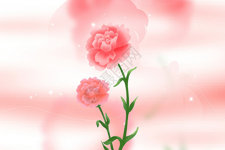 手绘康乃馨花束康乃馨背景设计图片