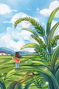 24节气小满手绘水彩之小满节气麦子和女孩遥望远方插画插画