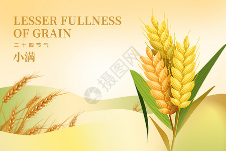 小麦收获素材小满设计图片