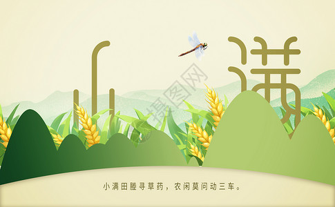 白花蜻蜓小满传统背景设计图片