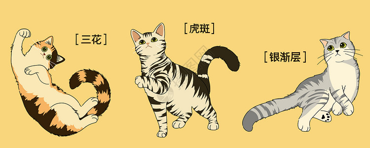 虎画像萌宠可爱三小只猫咪插画插画