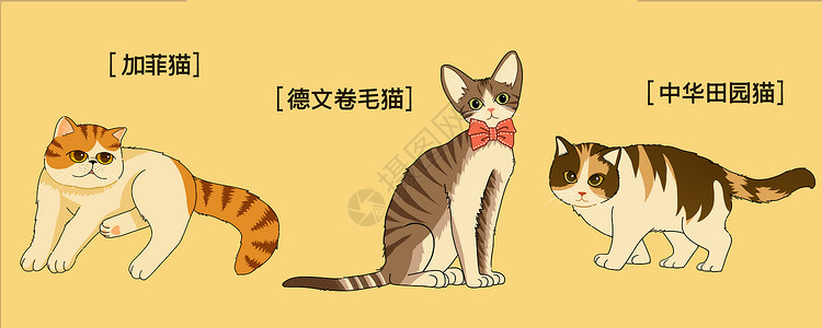 中华本草萌宠可可爱爱三小只猫咪插画插画