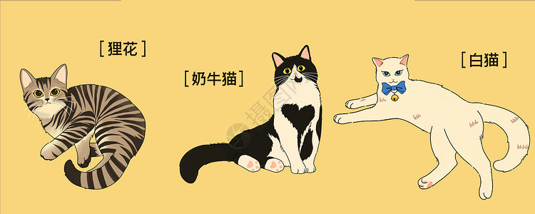 种类多萌宠可爱三小只猫咪插画插画