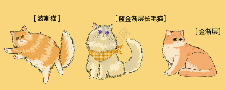 我家波斯猫萌宠可爱三小只猫咪插画插画