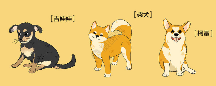 品种介绍萌宠可爱三只狗狗插画插画
