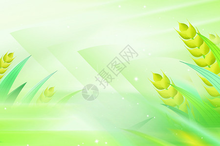 传统玉簪绿色清新麦穗背景设计图片