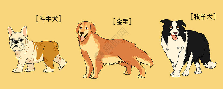 牧羊犬可爱三只萌宠狗狗插画插画