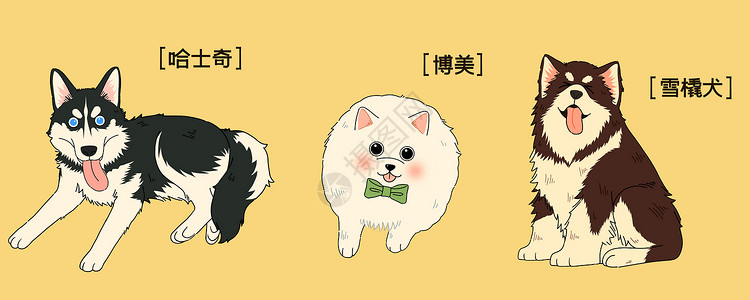 西伯利亚雪橇犬萌宠三只可爱狗狗插画插画