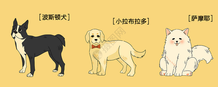 三只萌宠狗狗插画图片