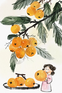 手绘水墨夏季水果系列之枇杷插画背景图片