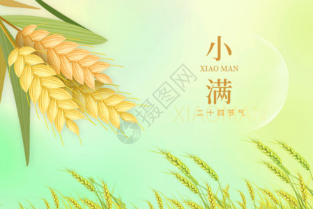 小麦麸皮小满GIF高清图片