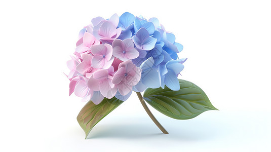 3D花朵绣球花3D图标插画