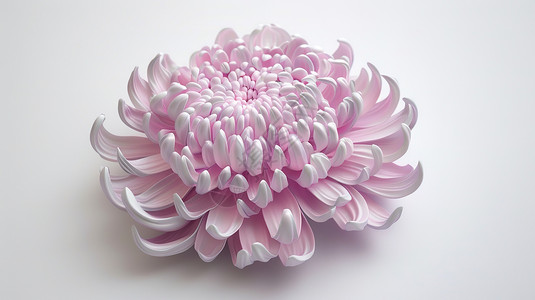 清明图标菊花3D插画