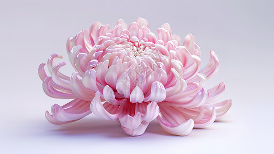 菊花3D图标高清图片