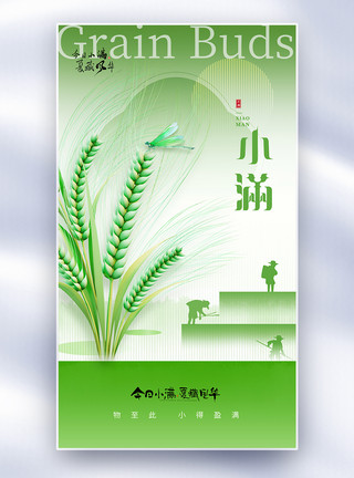 小麦生长中式小满节气二十四节气全屏海报模板