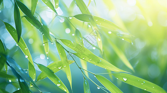 绿色肌理竹叶雨后落满水珠的绿叶插画