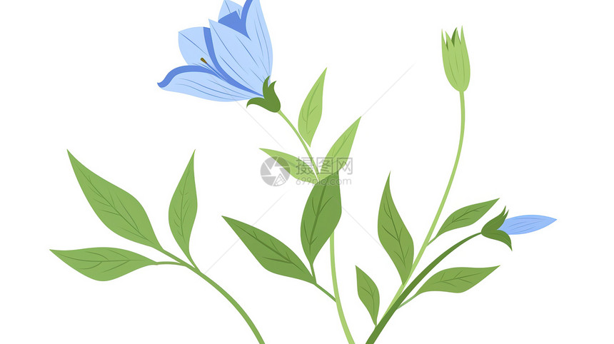 蓝色小花剪贴画插图图片