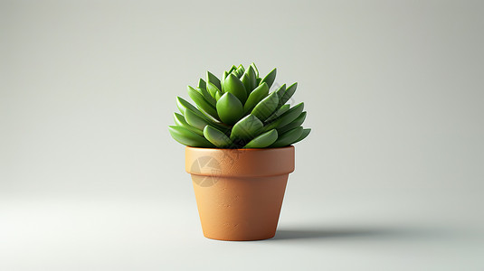 盆栽3D绿植陶瓷盆高清图片