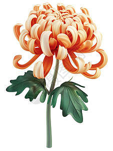 菊花3D风菊花式的图标对称高清图片