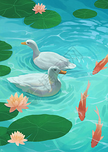 夏季清新展台夏日池塘里的鸭子与金鱼竖图插画
