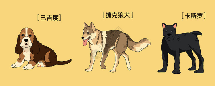 京巴犬三只萌宠可爱狗狗插画插画