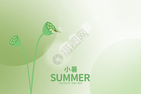 小暑标题小暑绿色唯美大气创意莲蓬设计图片