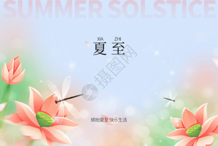 瓜农夏季夏至唯美创意荷花GIF高清图片