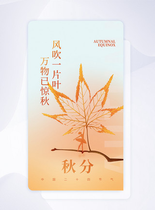 秋分节气APP启动页图片