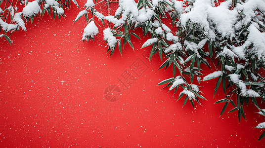 冬日唯美的红墙落雪场景图片