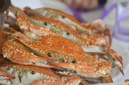 海鲜新鲜风味餐高清图片