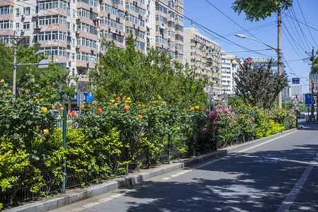 清凉一夏背景图片