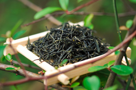 毛峰茶绿叶上的茶叶特写背景