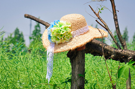 树条手工素材手工花朵草帽背景