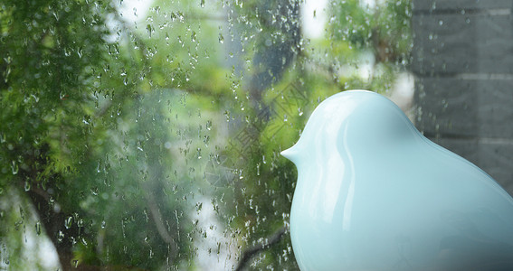 忧郁的鸟梅雨季节玻璃鸟高清图片